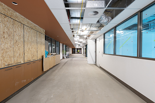 Narrabundah - Level 1